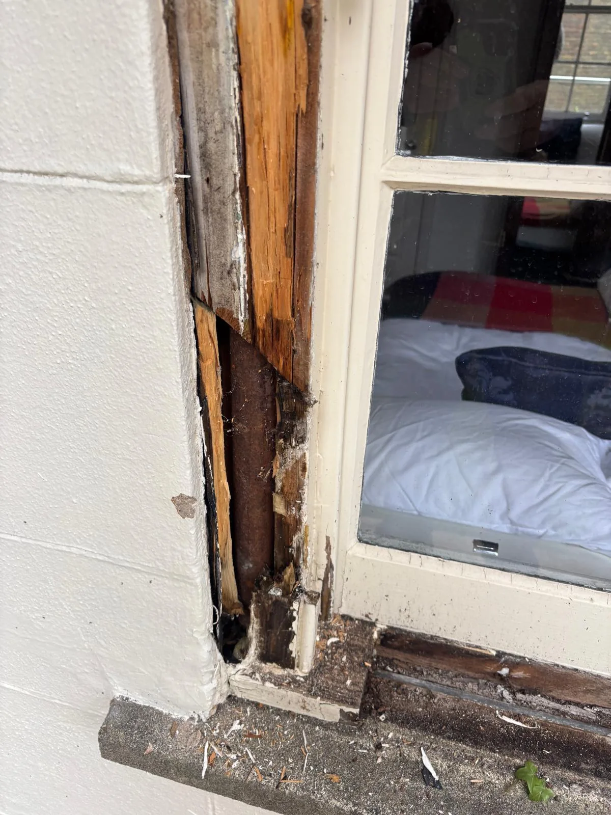 Decayed timber exposed beside sash window frame.