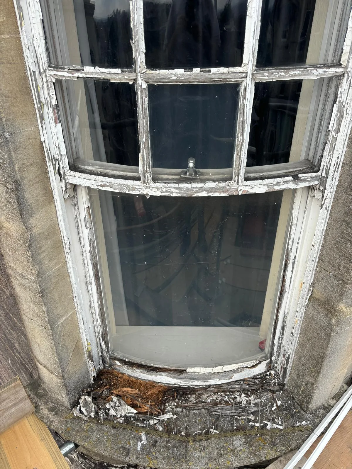 Curved listed sash window with extensive paint failure and timber decay.