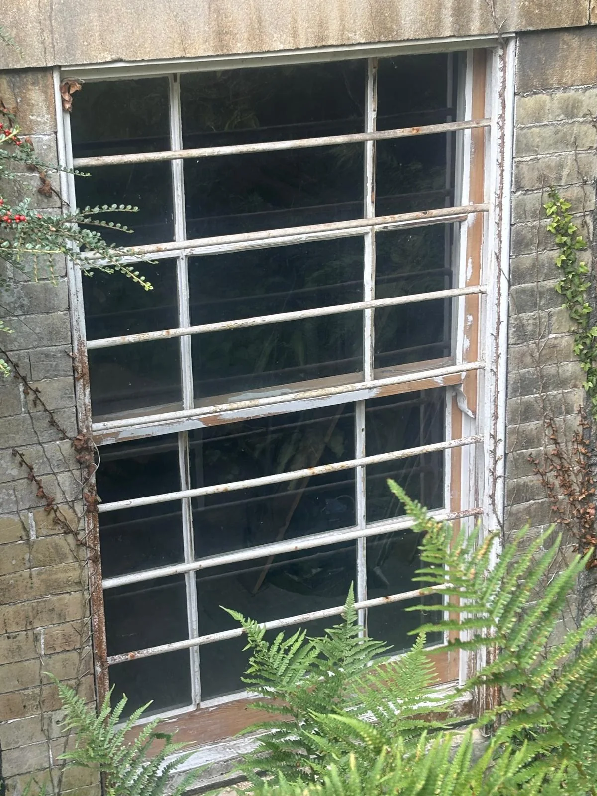 Large ground-floor sash window with security bars.