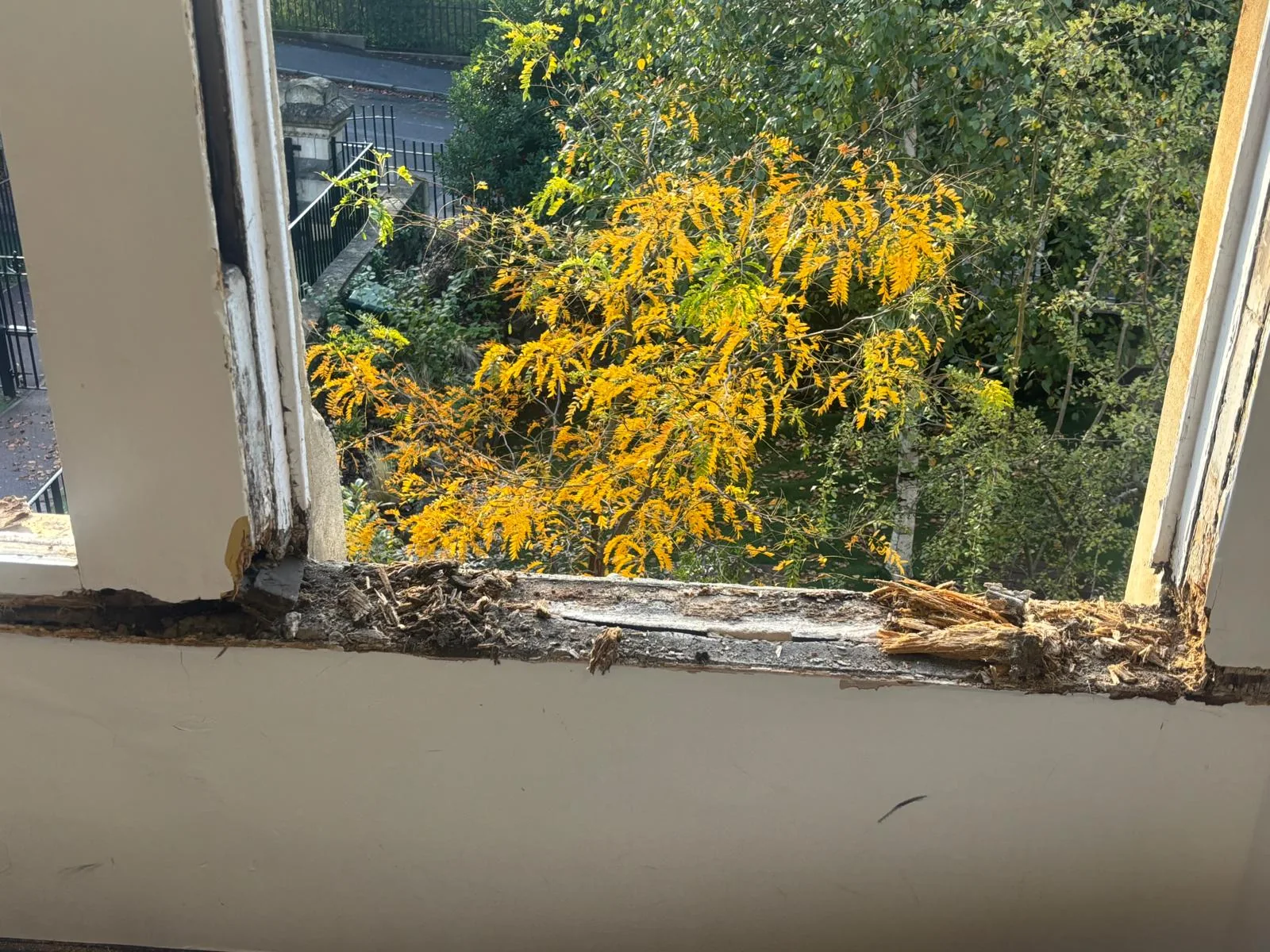 rotten sash window sill interior before repair rotten-sash-window-sill-interior-before-repair.webp