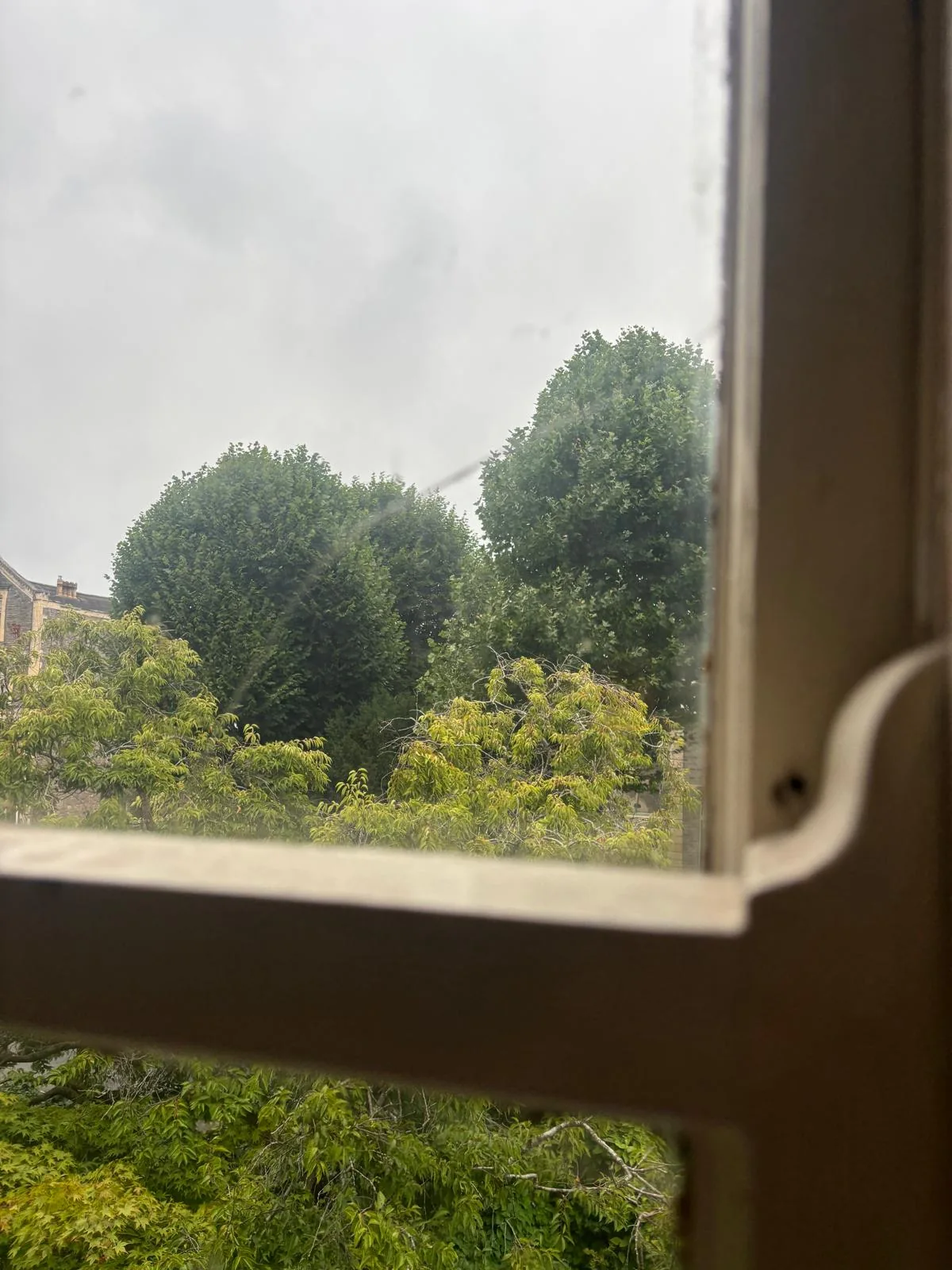 View through a sash window toward trees.